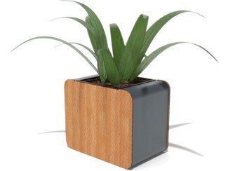 Jardinieră urbană simplă pentru loc de joacă - BGL-6058 imagine principala